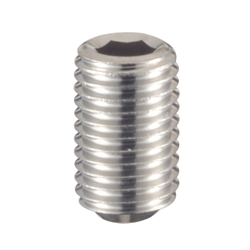 This image shows a set types of screws