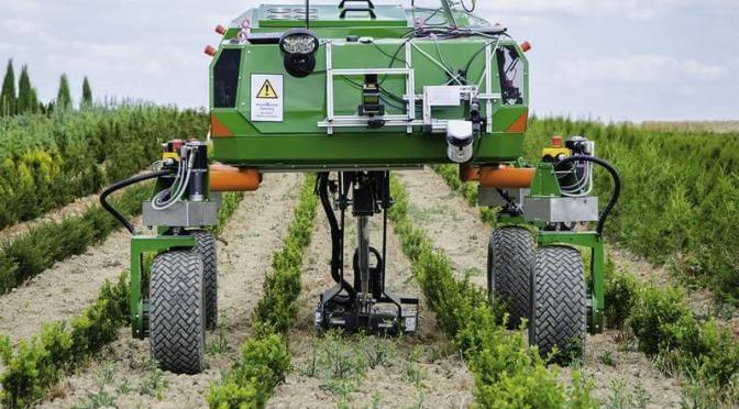 Agriculture robots are capable enough to sort ripe fruits without human intervention.