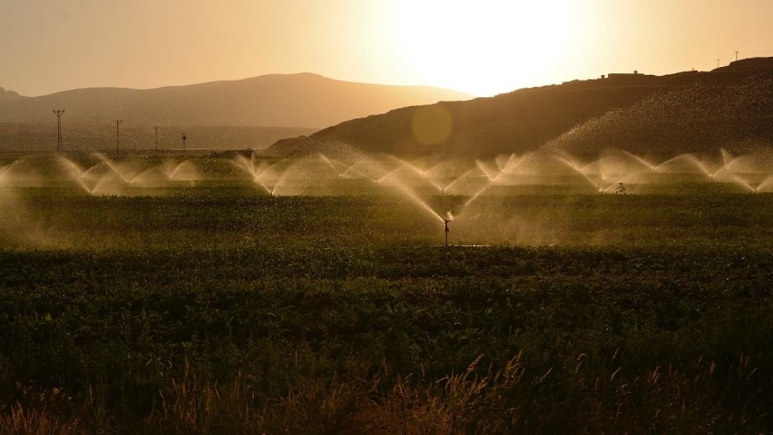 Automatic watering system utilizes existing weather information, soil humidity and other sensor data for sprinkling water in fields.