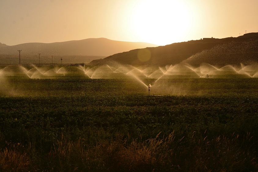 Automatic watering system utilizes existing weather information, soil humidity and other sensor data for sprinkling water in fields.