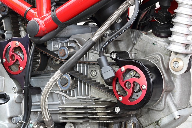 This image shows a timing belt used in ducati
