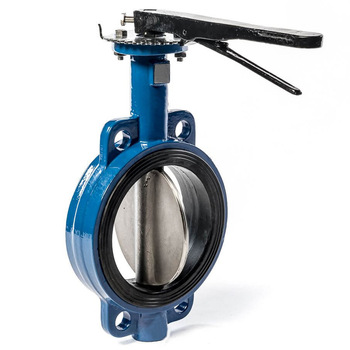 This image shows a Butterfly Valve.