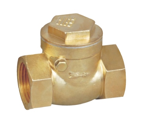 This image shows a Check Valve