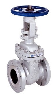 This image shows a Gate Valve