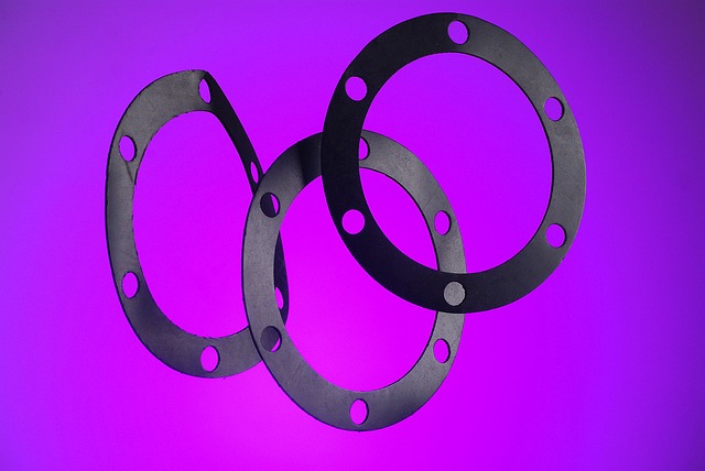 this image shows a type of Die Cut Gasket